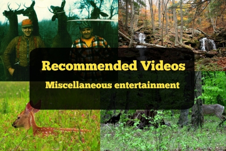 recommended videos